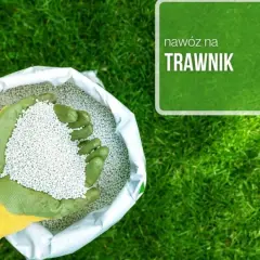 Ile nawozu na m2 trawnika? Odkryj sekrety zdrowego trawnika