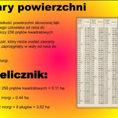 Morga na hektary: Precyzyjne przeliczanie jednostek powierzchni