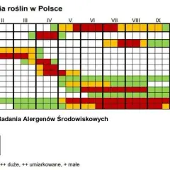 Co kwitnie w czerwcu alergia? Poznaj rośliny, które uczulają