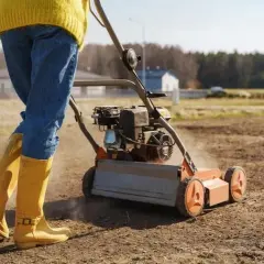 Jak zadbać o trawnik po zimie, aby uniknąć jego zniszczenia?