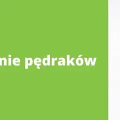 Skuteczne sposoby na zwalczenie pędraków w trawniku bez chemii