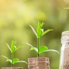 Ile złotych to 120 jednostek waluty obcej? Prosty przelicznik