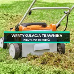 Jak głęboko wertykulować trawnik, aby poprawić jego zdrowie?