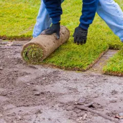 Ile kosztuje trawnik z rolki? Sprawdź, co wpływa na cenę!
