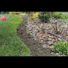 Jak odgrodzić rabatę od trawnika i uniknąć przerastania trawy