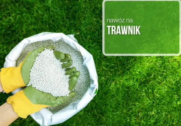 Ile nawozu na m2 trawnika? Odkryj sekrety zdrowego trawnika