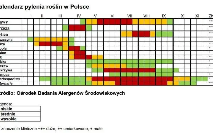 Co kwitnie w czerwcu alergia? Poznaj rośliny, które uczulają