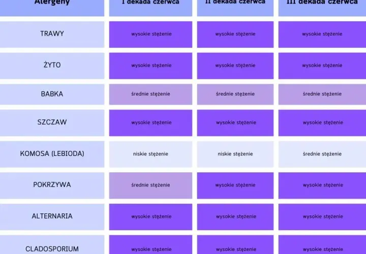 Co kwitnie teraz w Polsce? Zobacz, co może wywołać alergie