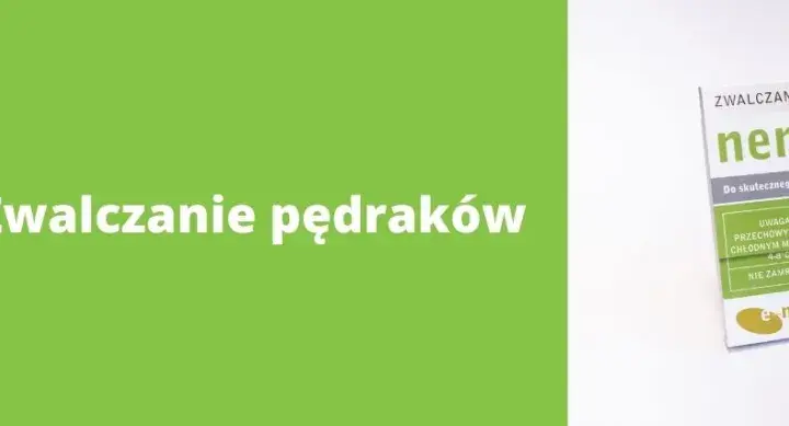 Skuteczne sposoby na zwalczenie pędraków w trawniku bez chemii