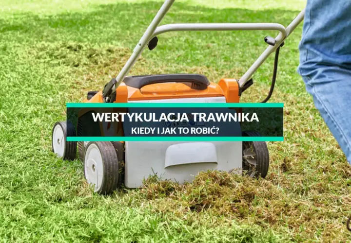 Jak głęboko wertykulować trawnik, aby poprawić jego zdrowie?