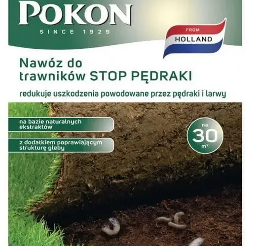 Skuteczne metody na pędraki w trawniku - jak uratować swoją trawę