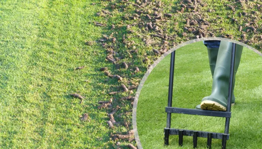 Jak napowietrzyć trawnik skutecznie i uniknąć problemów z murawą