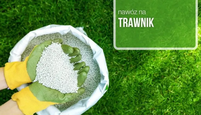 Ile nawozu na m2 trawnika? Odkryj sekrety zdrowego trawnika