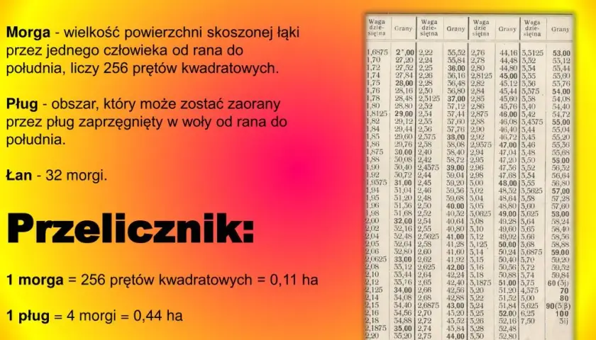 Morga na hektary: Precyzyjne przeliczanie jednostek powierzchni