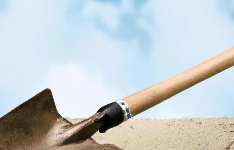 Czym ubić ziemię pod trawnik, aby uniknąć problemów z wzrostem?