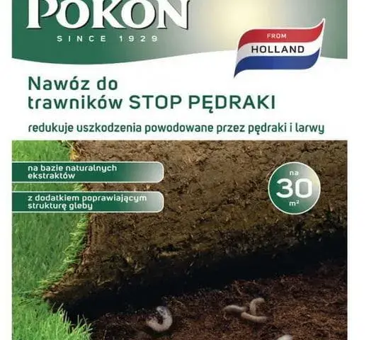 Skuteczne metody na pędraki w trawniku - jak uratować swoją trawę