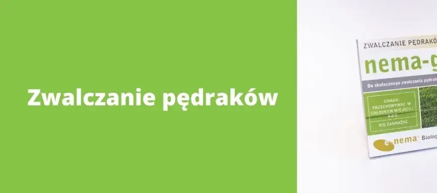 Skuteczne sposoby na zwalczenie pędraków w trawniku bez chemii