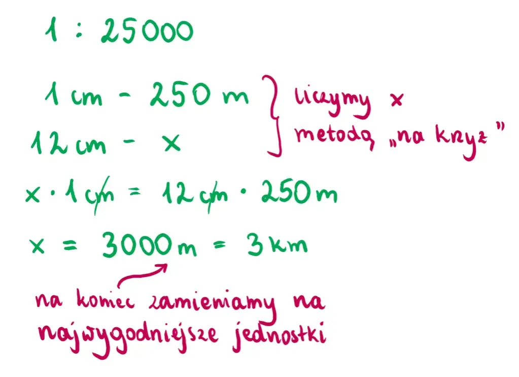 Skala 1:24 - jak przeliczyć na centymetry? Łatwy sposób