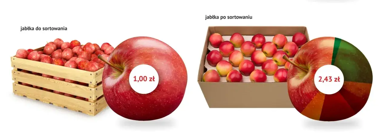 Zdjęcie Ile jabłek to kilogram? Poznaj dokładne przeliczniki owoców